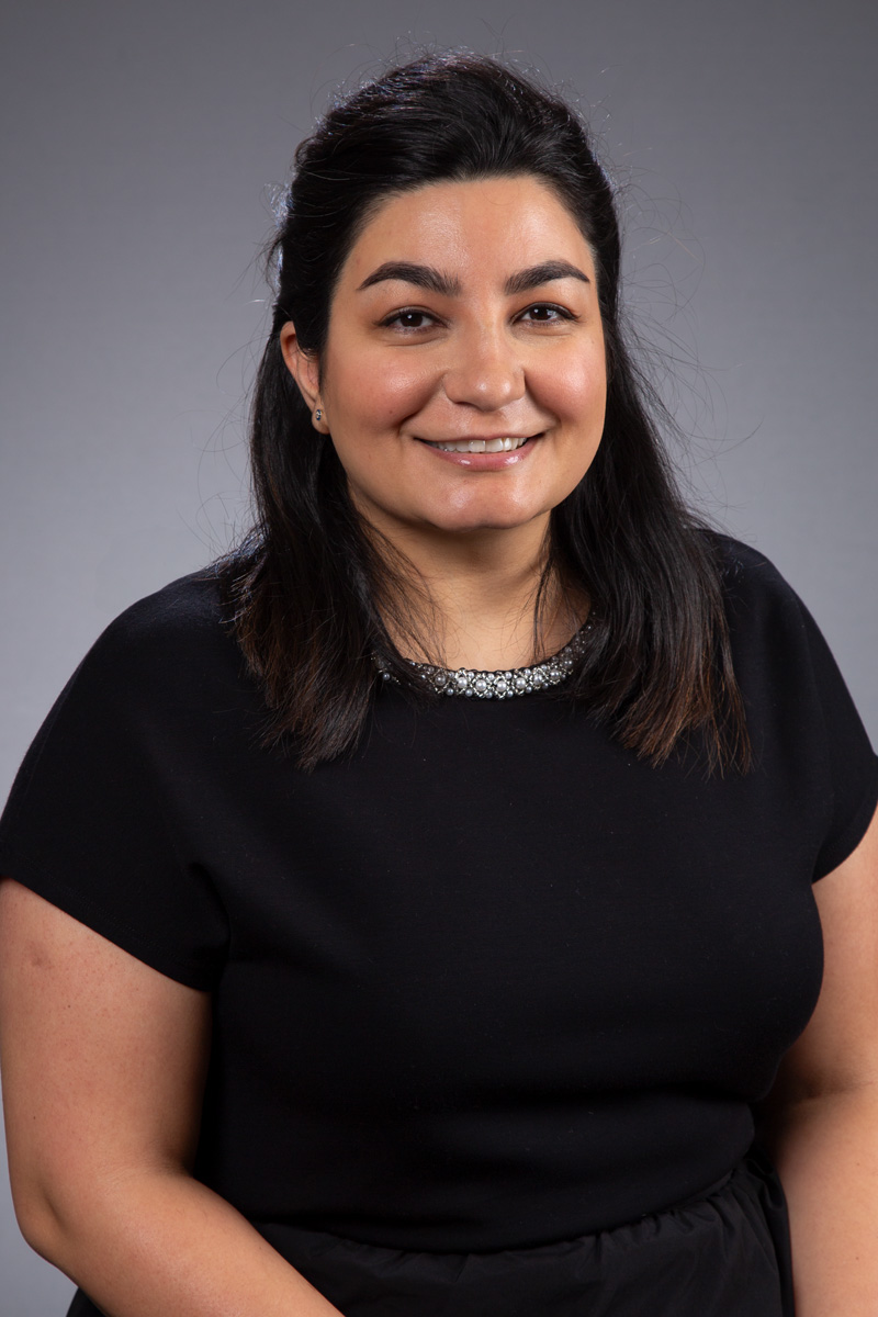 Lida Rahimi Araghi